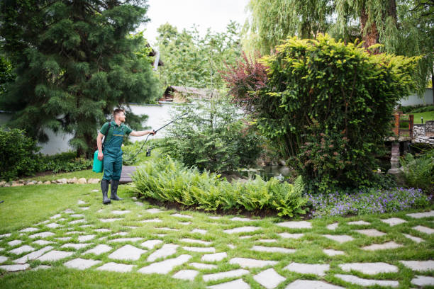 Trusted San Anselmo, CA Pest Control Experts