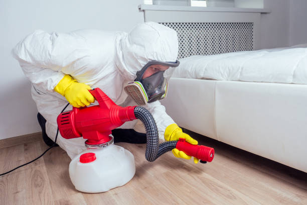 Best Mosquito Control Services  in San Anselmo, CA