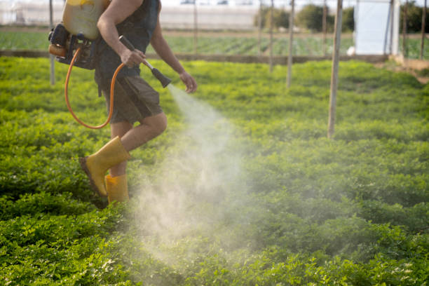 Best Pest Prevention Services  in San Anselmo, CA