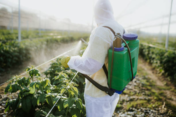Best Residential Pest Control  in San Anselmo, CA